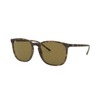 RAYBAN RB4387 710/73