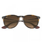 RAYBAN RB4171 865/13